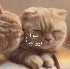 قم بتسجيل الدخول إلى فيسبوك لبدء المشاركة والتواصل مع أصدقائك وعائلتك والأشخاص الذين تعرفهم. Ahaa Ø§Ù„ØµÙØ­Ø© Ø§Ù„Ø±Ø¦ÙŠØ³ÙŠØ© ÙÙŠØ³Ø¨ÙˆÙƒ