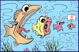 أسماك المياه المالحة