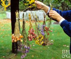 Some people choose to dry them out in sand or silicone so that they completely retain their full shapes when they are dried out for presentation in vases. How To Dry Annual Flowers Better Homes Gardens