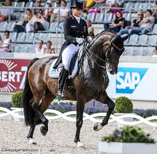 Maybe you would like to learn more about one of these? German Olympic Team Partnership Of Dorothee Schneider Showtime Win Munich Cdi5 Grand Prix 2nd Big Tour Victory Of Day For Rider Dressage News