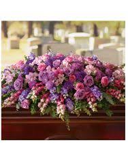 We did not find results for: Pink And Purple Funeral Flowers Teleflora Funeral Flowers Funeral Flowers Diy Funeral Flower Arrangements