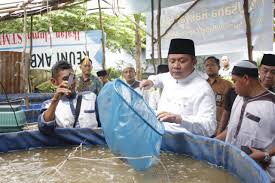 Gubernur Ajak Warga Sumsel Budidaya Ikan Bioflok Halosumsel