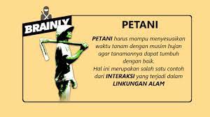 Apa Sajakah Interaksi Yang Terjadi Dalam Lingkungan Alam Brainly Co Id