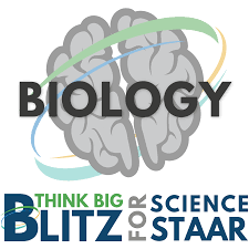 As of spring 2016, staar english iii and algebra ii are available for districts to administer as optional assessments. Think Big Blitz For Staar Biology Eoc Training Think Big Learning