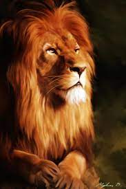 29 Animal Wallpaper For Phone On Wallpapersafari