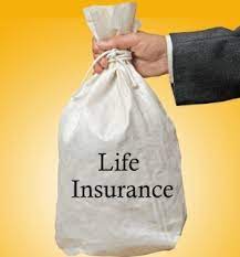 If we all are able to predict the life insurance is of great importance to individuals. Life Insurance Remedies May A Living Insured Recover Damages For An Insurer S Failure To Provide A Required Grace Period Notice Insurance Law Insurance Law Lexisnexis Legal Newsroom