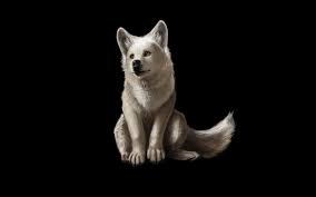White and black wolf digital wallpaper, moon, monochrome, artwork. Little White Wolf Wallpaper Animals Wallpaper Better