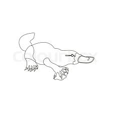 Your use of our printables is subject to our licensing terms and terms of use. Platypus Coloring Pages On The White Stock Vector Colourbox