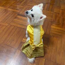 Amazon Com Belle Dog Costume Halloween Princess Dress Girls Dog Clothes Beauty And The Beast Puppy Doggy Outfit Pet Costume Apparel Christmas Gift Handmade Products