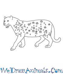 Maybe you would like to learn more about one of these? How To Draw A Leopard