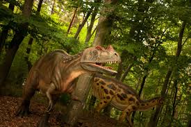Plan your dino parc visit and explore what else you can see and do in rasnov using our rasnov route maker tool. Dino Parc Rasnov Alegerea Perfecta Intr Un Weekend Iata Ce Va Asteapta