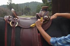 Saddle Fit How To Guide