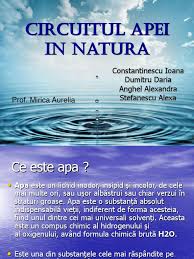 Am infierbantat apa si ei au urmarit daca se condenseaza. Circuitul Apei In Natura Proiect Bio