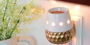 طرق طبيعية وبسيطة ليحظى منزلك بأجمل روائح عطر فواح ودائم تعرفي عليها