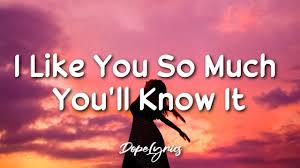 I like you more the world may know but don't be scared 'cause i'm falling deeper, baby be prepared. I Like You So Much You Ll Know It Ysabelle Cuevas Lyrics Youtube