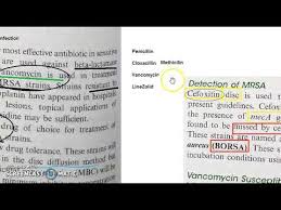 For minor mrsa infections, treatment will. Microbiology 101 H Staphylococcus Treatment Bacteria Infection Mrsa Resistant Treat Youtube