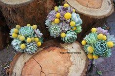 Check out our blue billy button selection for the very best in unique or custom, handmade pieces from our dried flower arrangements shops. 71 Billy Buttons Ideas Billy Buttons Wedding Wedding Flowers