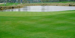 How long until grass first appears? All You Need To Know About Perennial Ryegrass