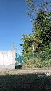 Image result for tbn:nLpV-3NbibUyrM::www.cadenciacapoeira.com/br/images/bimba_foto.jpg