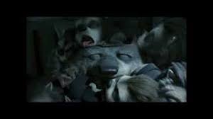 Hotel Transylvania Awaking The Wolves Youtube The werewolf kids (also called werewolf pups or wolf pups) are the children of wayne and wanda werewolf. hotel transylvania awaking the wolves