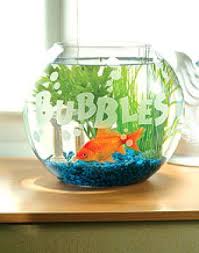 personalize your fish bowl does give it some added character unique fish bowls pet diy projects fish bowl