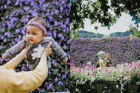 Ketika itu saya di tingkatan 3 menyertai en shahmuzir. Ini Tips Paling Lengkap Untuk Bawa Keluarga Bercuti Ke Cameron Highlands Jimat Simple