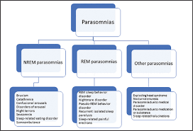 Image result for Parasomnia