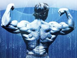 Best 47+ Arnold Wallpaper on HipWallpaper | Hey Arnold Wallpaper, Arnold  Motivation Wallpaper and Halloween Hey Arnold Wallpaper