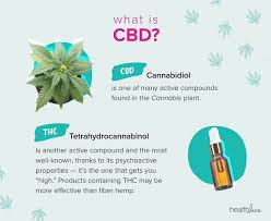 Your Guide to CBD