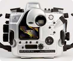 Phil spector dies in prison at age 81. S180 Underwaterphotography Canon Nikon Housings Seacam Cinema Of Dreams