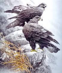 Japanese Bird Of Prey Tattoo Eagle Pair