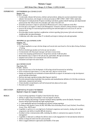 Qa Consultant Resume Samples Velvet Jobs