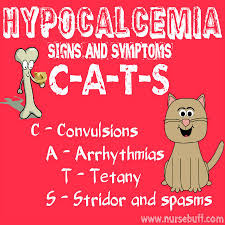 Nursing Mnemonics And Acronyms Acid Base Fluids And