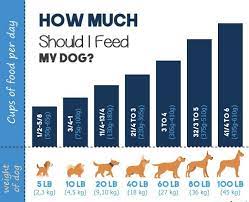 A cup of chicken on rice contains between 350 and 400 calories. How Much Food Should You Feed Your Dog Petrefine
