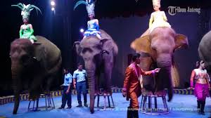 Salah seorang karyawan toko gadjah ary anjan (20) mengatakan, sekitar pukul 10.30 wib, dua perempuan itu masuk ke toko memilih gelang. Video Penampakan Pada Atraksi Oriental Circus Indonesia Di Kota Semarang Youtube