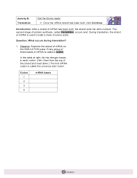 The simulation then allows you to edit the dna which will then create a new protein. 32 Rna And Protein Synthesis Gizmo Worksheet Answers Worksheet Resource Plans