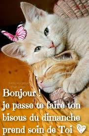 Je Passe Te Faire Ton Bisous Du Dimanche Bonjour Drole Bonjour Dimanche Bonjour Du Matin