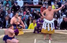 Amy and Dave (@sumomainichi) • Instagram photos and videos