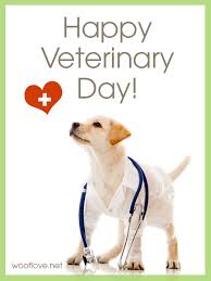 Check spelling or type a new query. Smajliki Kartinki Gif Animacii Otkrytki Den Veterinara S Prazdnikom Skachat