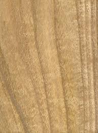 Catalpa The Wood Database Lumber Identification Hardwoods Woodworking Wood Hardwood Lumber