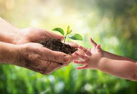 For too long, we have been exploiting and destroying our planet's ecosystems. World Environment Day Activity Ideas 2021 Early Education Zone