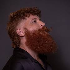 Os vídeos de ESPECIALISTA EM BARBA (@alebarbaruiva) com som original