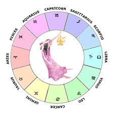 Saturn in fourth house is not an easy placement. Saturn In Libra Learn Astrology Guide To Your Natal Chart