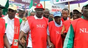 Asuu joins nlc strike in kaduna. Breaking Nlc To Resume Kaduna Strike Directs Affiliate Unions To Mobilise