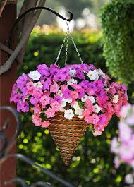 Below is a list of top ten flowering plants you can select for your hanging baskets. Planting Wave In Hanging Baskets