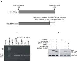 Для просмотра онлайн кликните на видео ⤵. Decoding The Genetics Of Viral Evolution Frontiers Research Topic