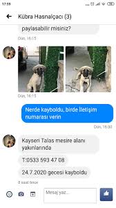 Dohayko Kayseri Gonulluleri Ve Hayvan Sahiplendirme Platformu Ana Sayfa Facebook