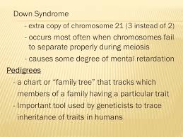 Ch 6 Sec 2 Human Genetic Disorders Ppt Video Online Download