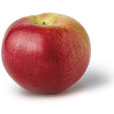 Apple Varieties Of New York State Macoun Ny Apple
