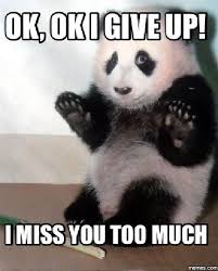 60 Cutest I Miss You Memes Of All Time Sayingimages Com Panda Bear Funny Animal Pictures Funny Animal Quotes